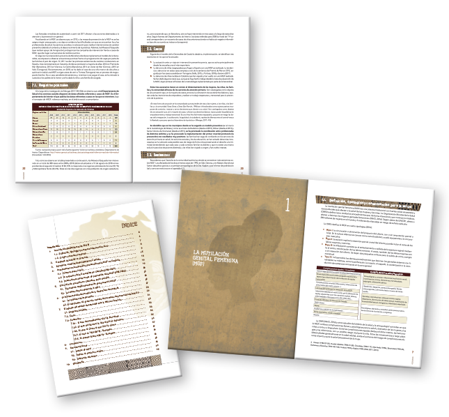 editorial_disenyo_informe_fundacion-wassu_thau