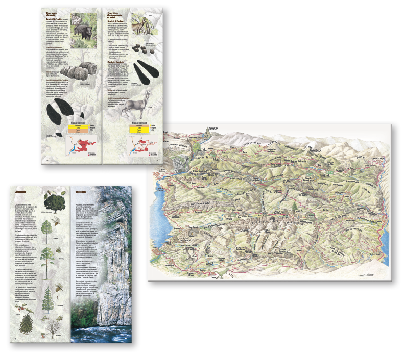 editorial_maquetacion_boumort_guia_thau